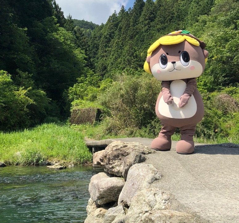 端広こう ちぃたんとしんじょう君作者 プロフィール 経歴や年齢は 知りたがり夫婦の交換日記